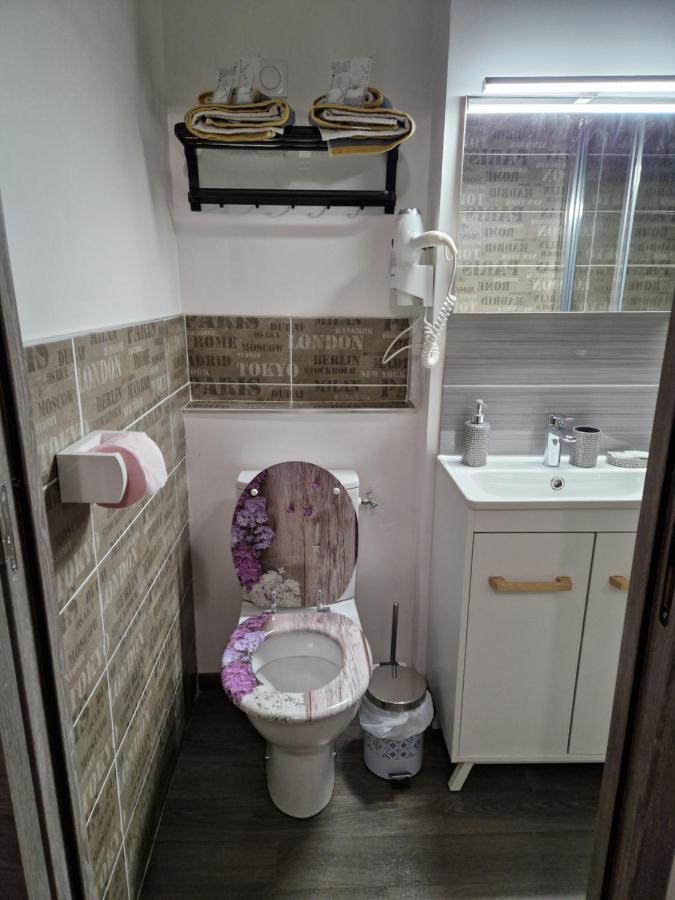 Studio Meuble Au Rdc , Proche Lac Aix-les-Bains Zewnętrze zdjęcie